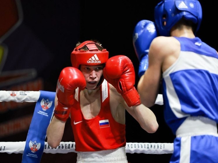 У Подмосковья на первенстве России по боксу 13 медалей