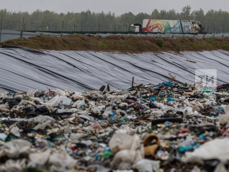 В Казани планируют создать два компостных полигона