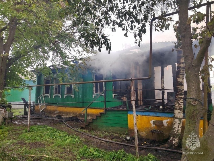В Тамбовской области при пожаре погибли пожилые супруги