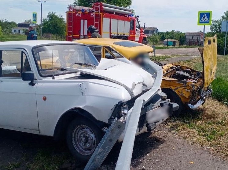  В Бердянском районе на Запорожье произошло смертельное ДТП