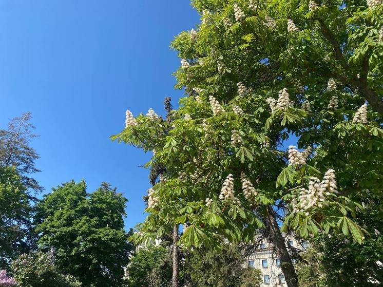 Во вторник белгородцев ожидает 16° тепла