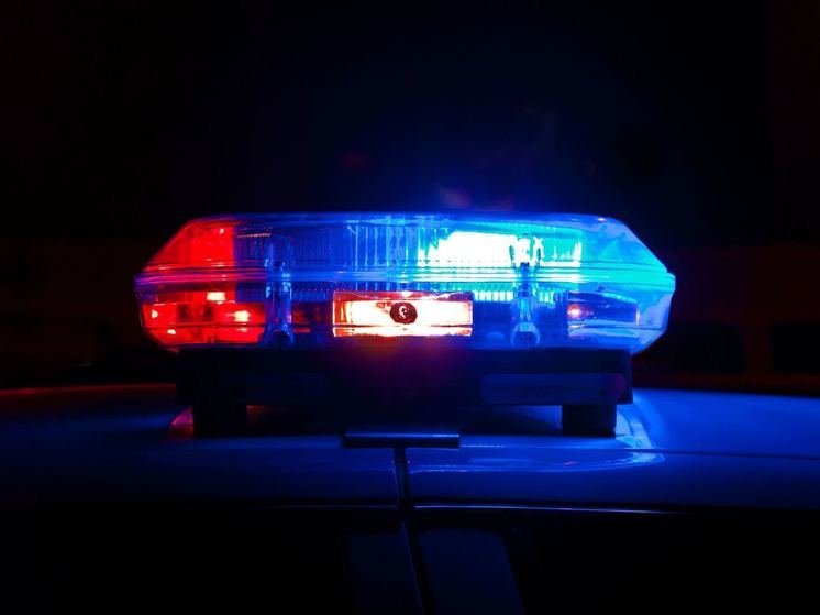 На трассе М-1 под Вязьмой пешеход попал под фуру