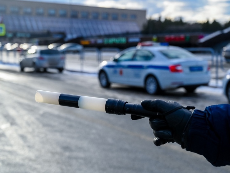 На дорогах Южного Урала за пять дней поймали сотни пьяных водителей