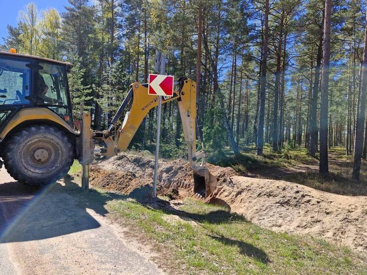 Для защиты ластоногих в природном заказнике в Ленобласти пришлось возводить оборонительную линию