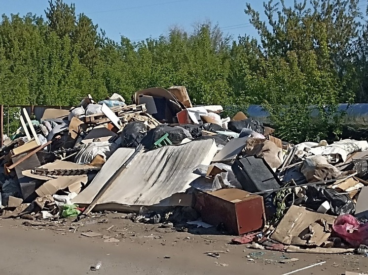 Мэрия решает проблему с мусором в затопленных районах Оренбурга