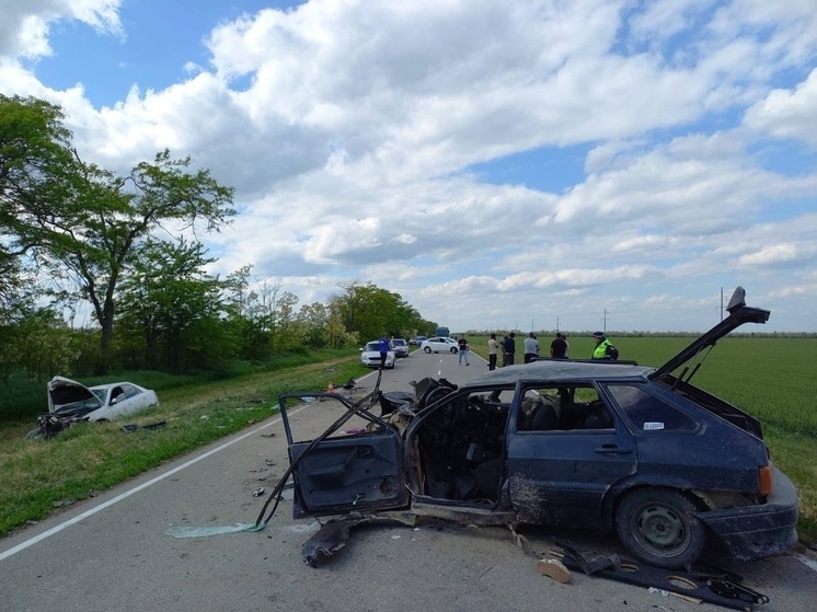 Жуткое ДТП случилось на трассе в Сальском районе Ростовской области