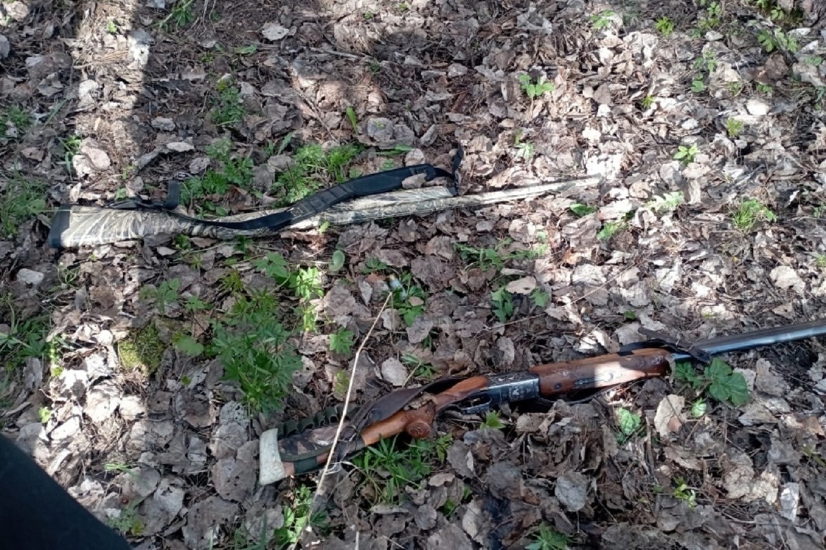 Костромские кражи: нейские пинкертоны быстро нашли похитителя двух ружей