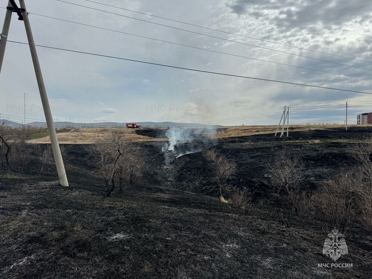 Крупный пожар произошёл возле озёр в Забайкалье