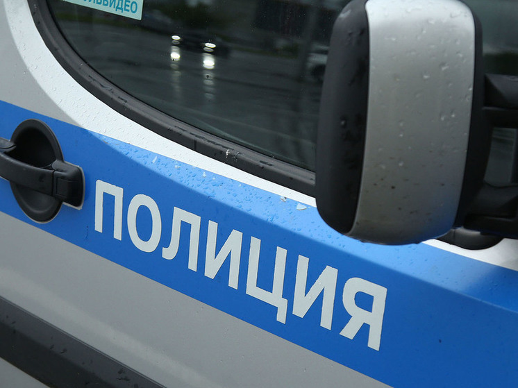 В Ленобласти полуторагодовалая девочка захлебнулась в канаве