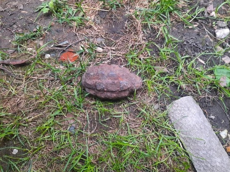 Ребенок обнаружил старую гранату у частного дома в Подмосковье