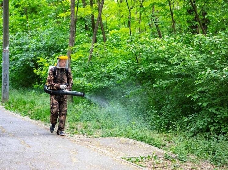 Алексей Логвиненко: в Ростове от клещей обработано более 300 гектаров территории