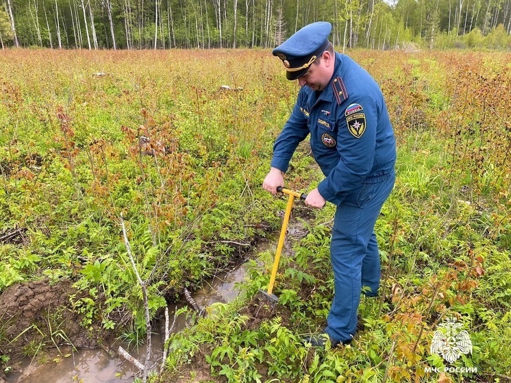  МЧС Смоленской области приняли участие в акции по высадке молодняка хвойных пород