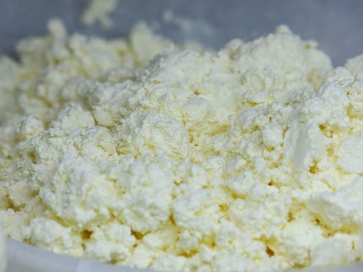 Роскачество обнаружило «мясной клей» и кишечную палочку в твороге некоторых производителей