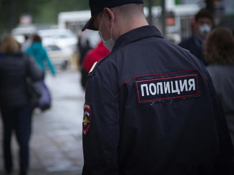 Новосибирец организовал вебкам-студии, распространявшие запрещённый контент