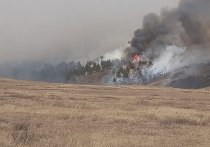 В Шилкинском районе 14 мая локализовали лесной пожар на площади 60 гектаров
