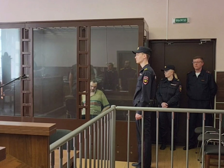  Расчленившего свою мать в Шушарах петербуржца заключили под стражу до 12 июля