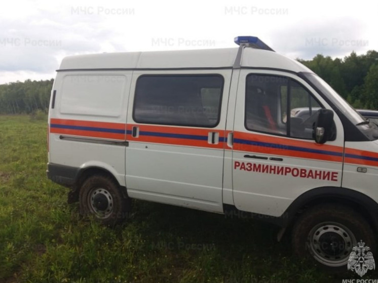 В Чернском районе ликвидировали миномётный снаряд времён ВОВ