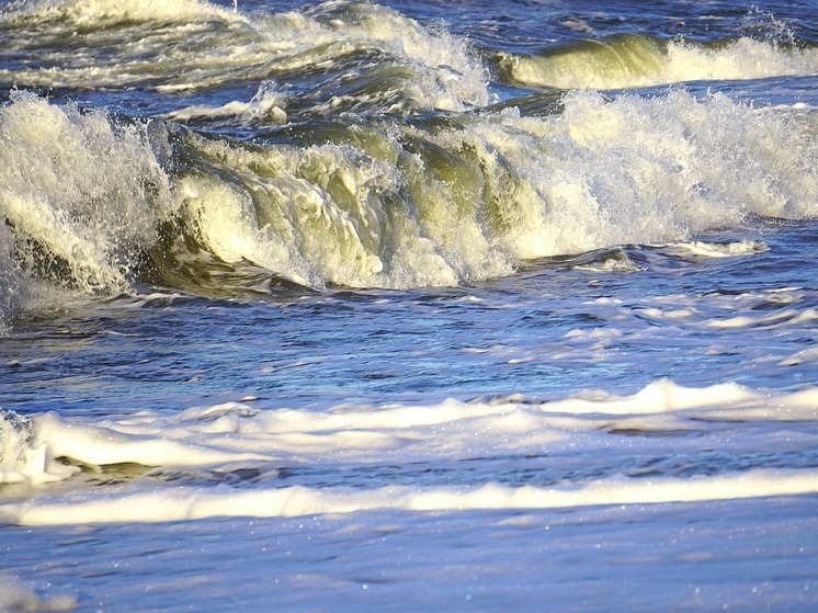Германия — Осторожно, токсины! Уровень таллия в Балтийском море бьет рекорды