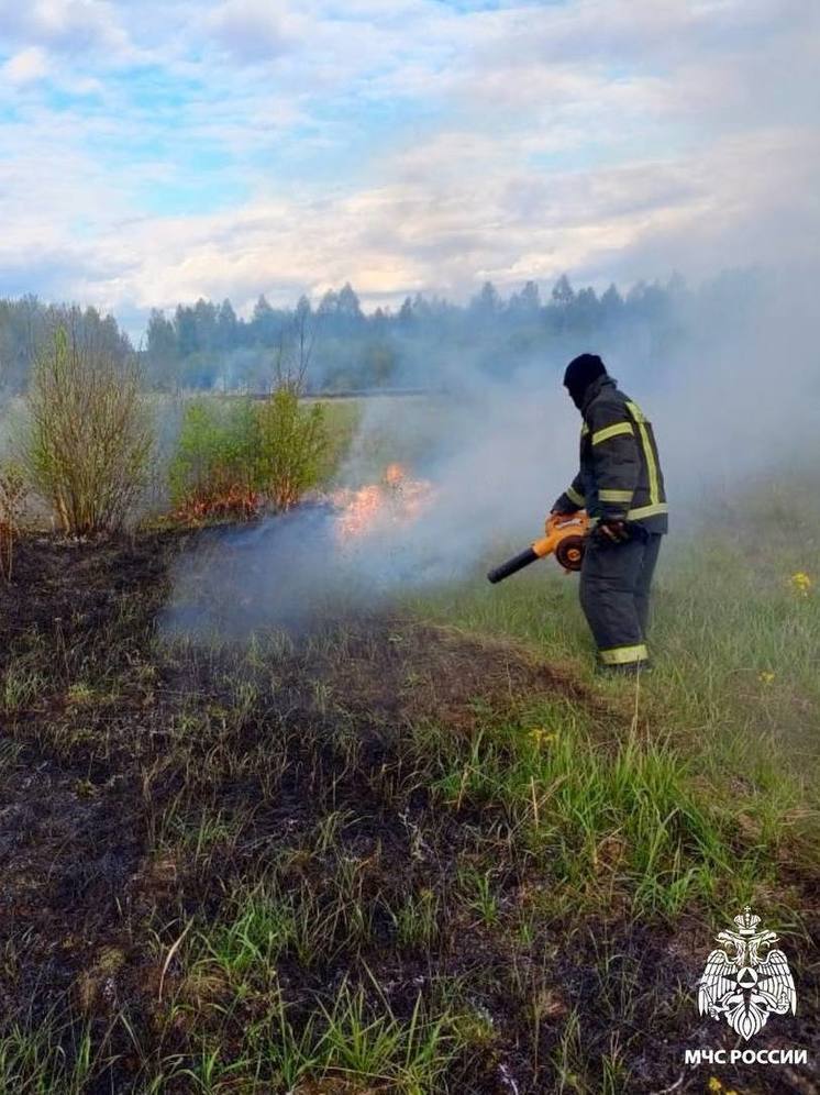 Под Тверью пожарные потушили горящую траву