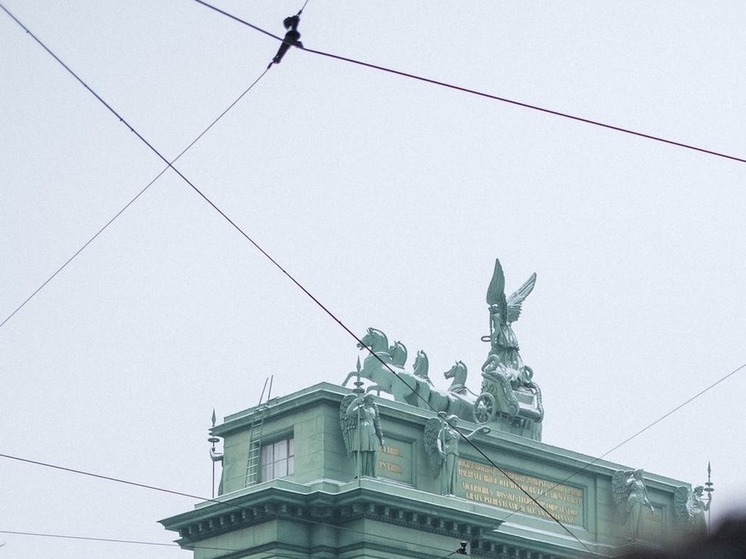 Главой Федеральной таможенной службы назначили  Валерия Пикалева из Петербурга