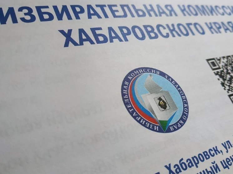 В избиркоме Хабаровского края назначены новые члены с правом решающего голоса