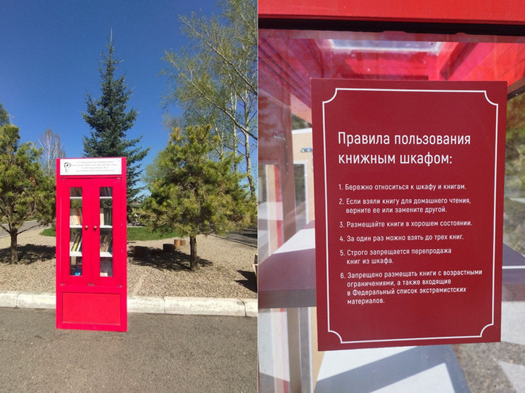 В красноярском озеро-парке «Октябрьский» установили шкаф для кросс-букинга