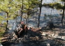 Восемь лесных пожаров общей площадью 401 гектар действуют 15 мая в Карымском, Сретенском, Могочинском, Газимуро-Заводском, Нерчинском и Чернышевском районах Забайкальского края