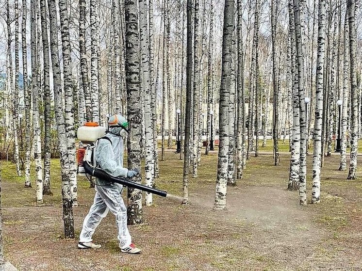 В городах Югры началась обработка от клещей