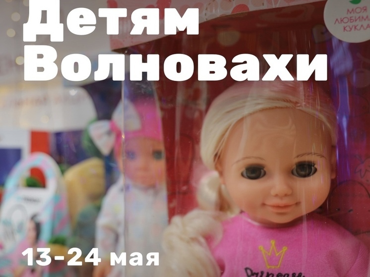 В Шурышкарском районе объявили сбор игрушек и книг для детей Волновахи