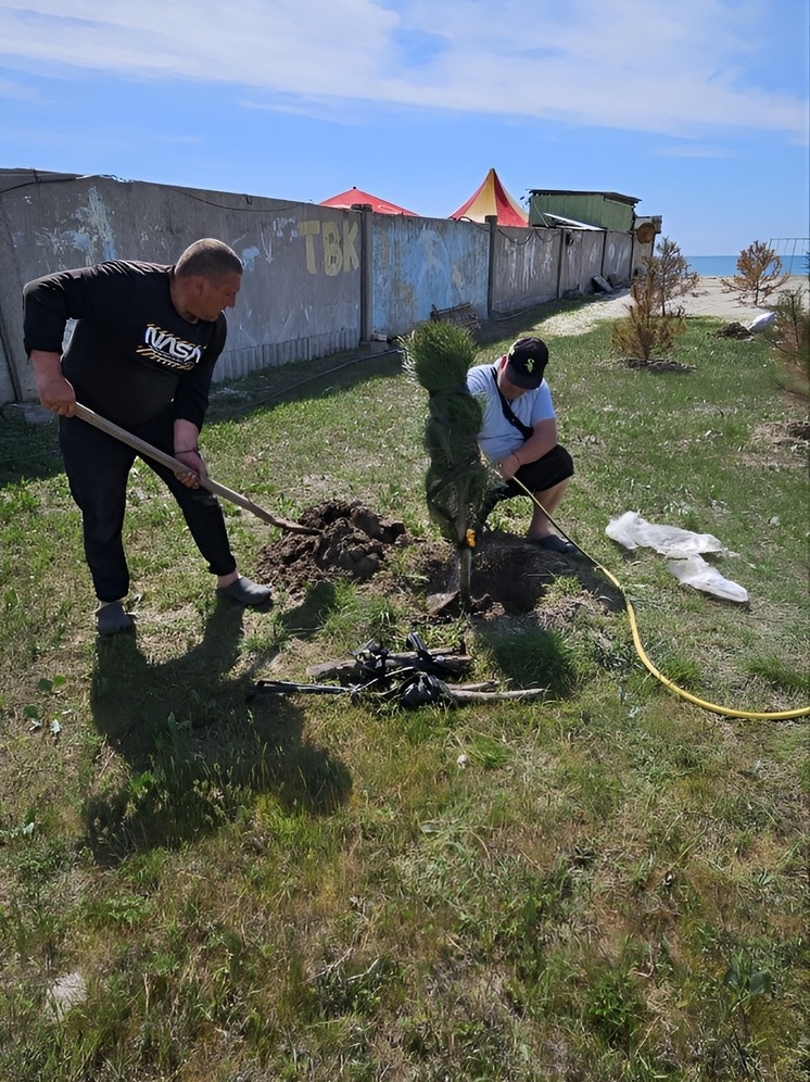В Приморском на Херсонщине озеленили побережье Черного моря
