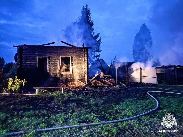 В Демидовском районе пожар уничтожил целое подворье
