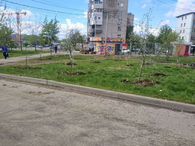 На улице Панфиловцев в Хабаровске заметили работы по озеленению