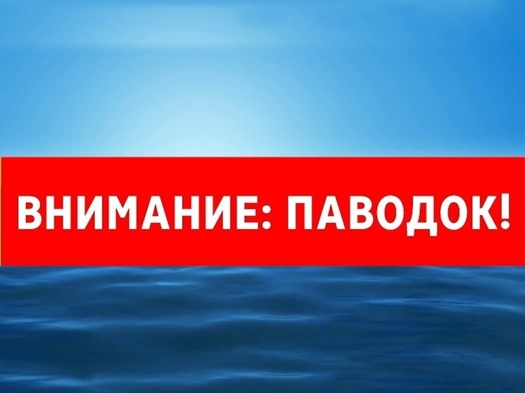 Жителей одного из районов Карелии попросили не ездить на дачи, пока идет паводок