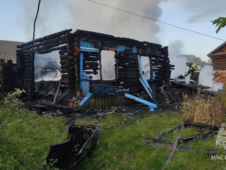 В Пензенской области в пожарах умерло два человека
