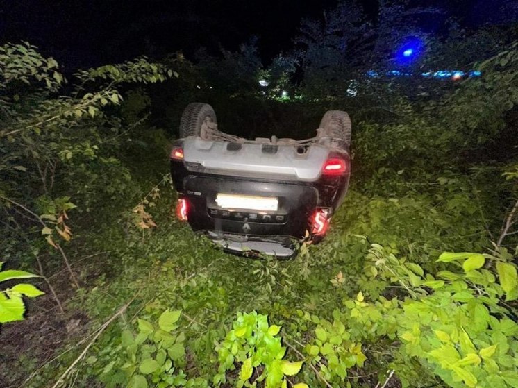 Два человека попали в больницу после опрокидывания авто под Воронежем