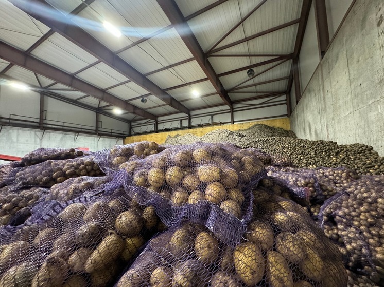 В Бурятии запустили в эксплуатацию хранилище на 8 тыс тонн картошки