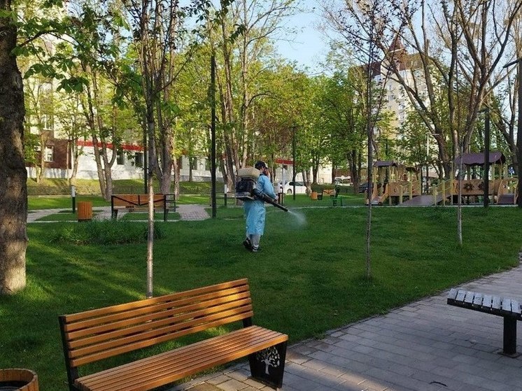 От клещей в Ставрополе обработали почти 650 тыс. кв.м.