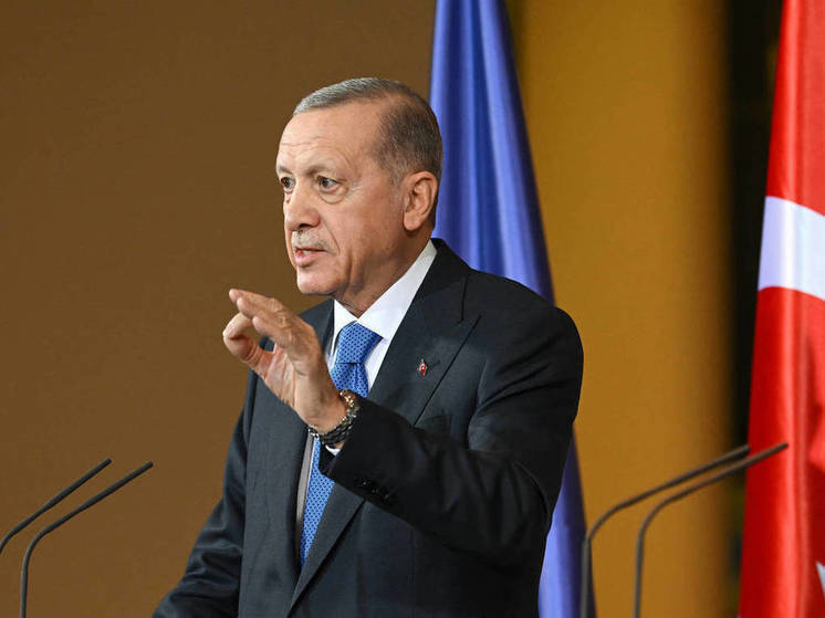 Президент Турции Реджеп Тайип Эрдоган из-за предупреждения о заговоре против власти в правоохранительных органах заявил, что власти страны «знают кукловодов тех, кто проводит игру»