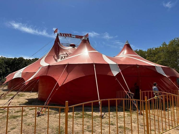 Артисты Росгосцирка привезли цирковое шоу в Шахтерск