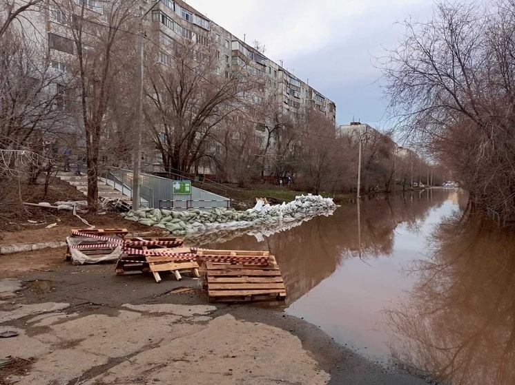 В Оренбурге уровень Урала упал на 12 сантиметров, на 27 сантиметров стал ниже около Орска