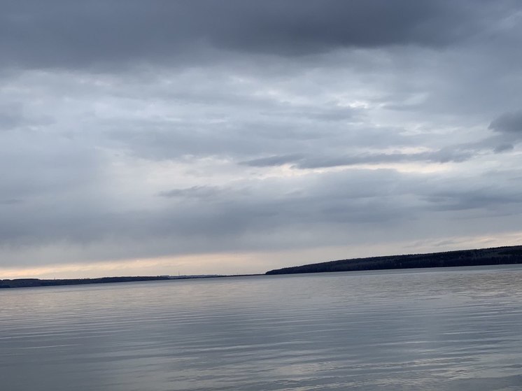Жителей Пензы пригласили на уборку берегов Сурского моря