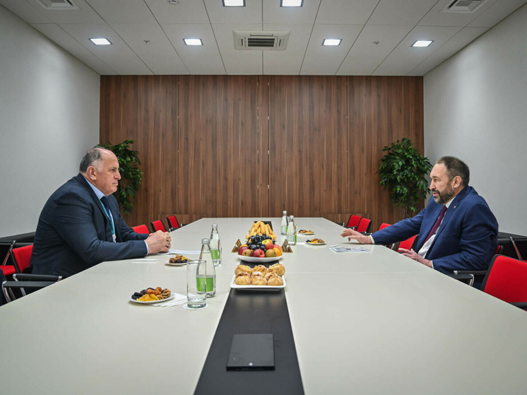 Алексей Песошин в Казани встретился с главой Дагестана