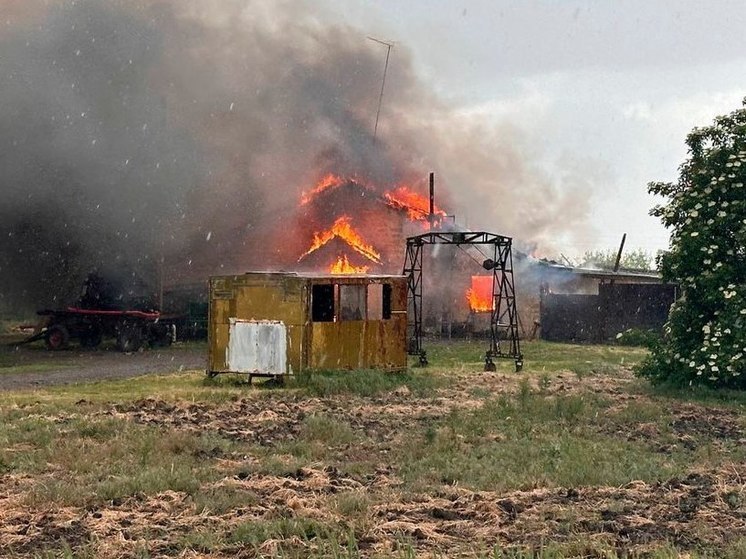 Боевики ВСУ обстреляли сельскохозяйственную ферму на Запорожье