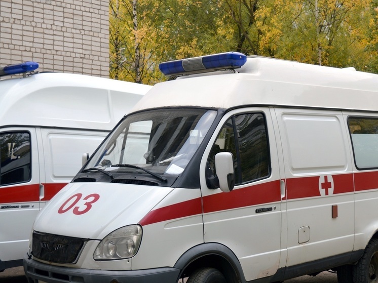 В Петербурге на лестничной клетке на 63-летнюю пенсионерку напали два питбуля