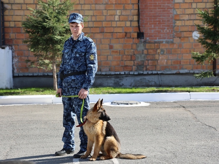 Сотрудники ГУФСИН по Красноярскому краю помогли раскрыть более 800 преступлений