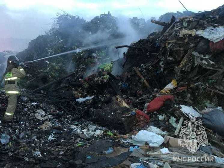 В Новосибирске опубликовали результаты проб воздуха после пожара на Хилокском полигоне