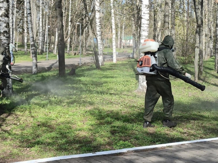 Парк Победы в Кирове начали обрабатывать от клеща