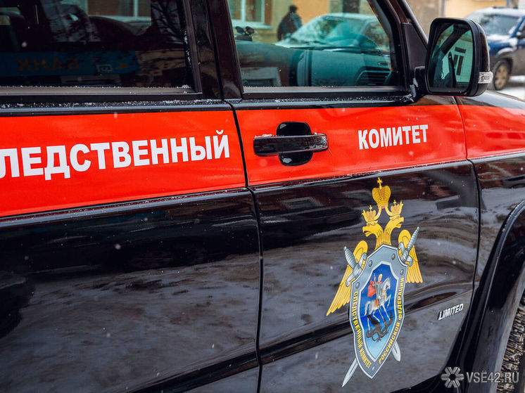 СК начал проверку из-за нападения собак на двух детей в Кузбассе
