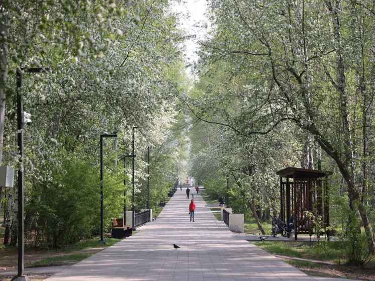 Новое пространство для отдыха горожан и гостей Челябинска появится в Металлургическом районе
