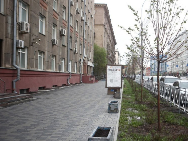 В Новосибирске завершили обустройство липовой аллеи